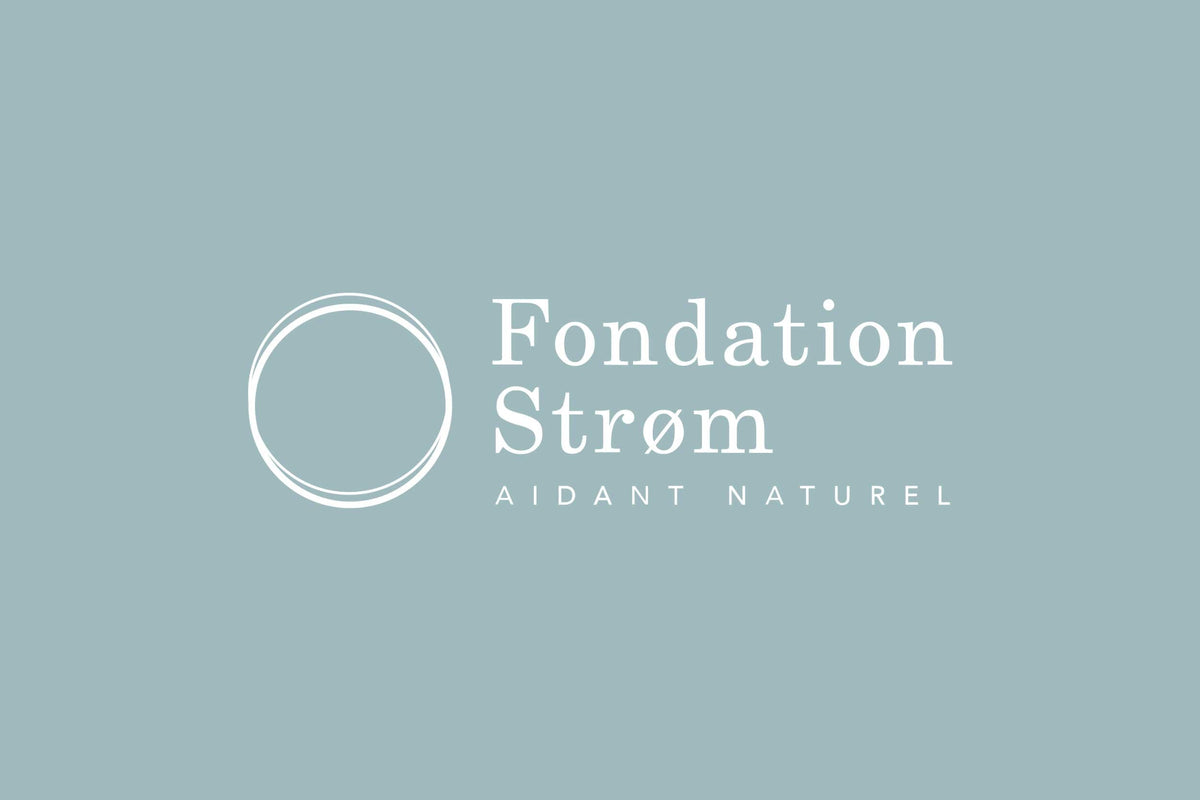 Fondation Strøm | Aidant naturel