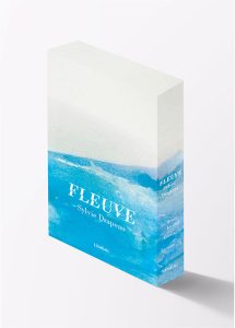 Coffret Fleuve Maquette 3D 2 web - Cinq livres pour démasquer la beauté