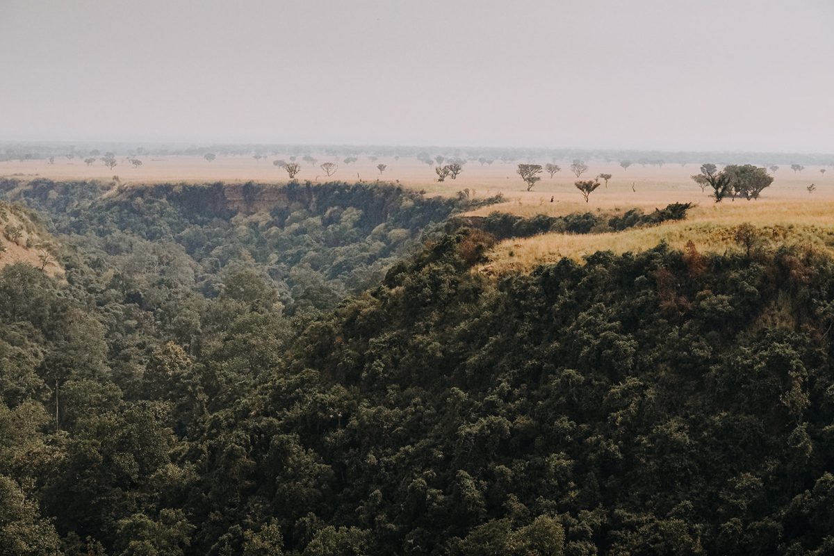 Julie Ricard unsplash websize - Rêver le monde en attendant de le parcourir