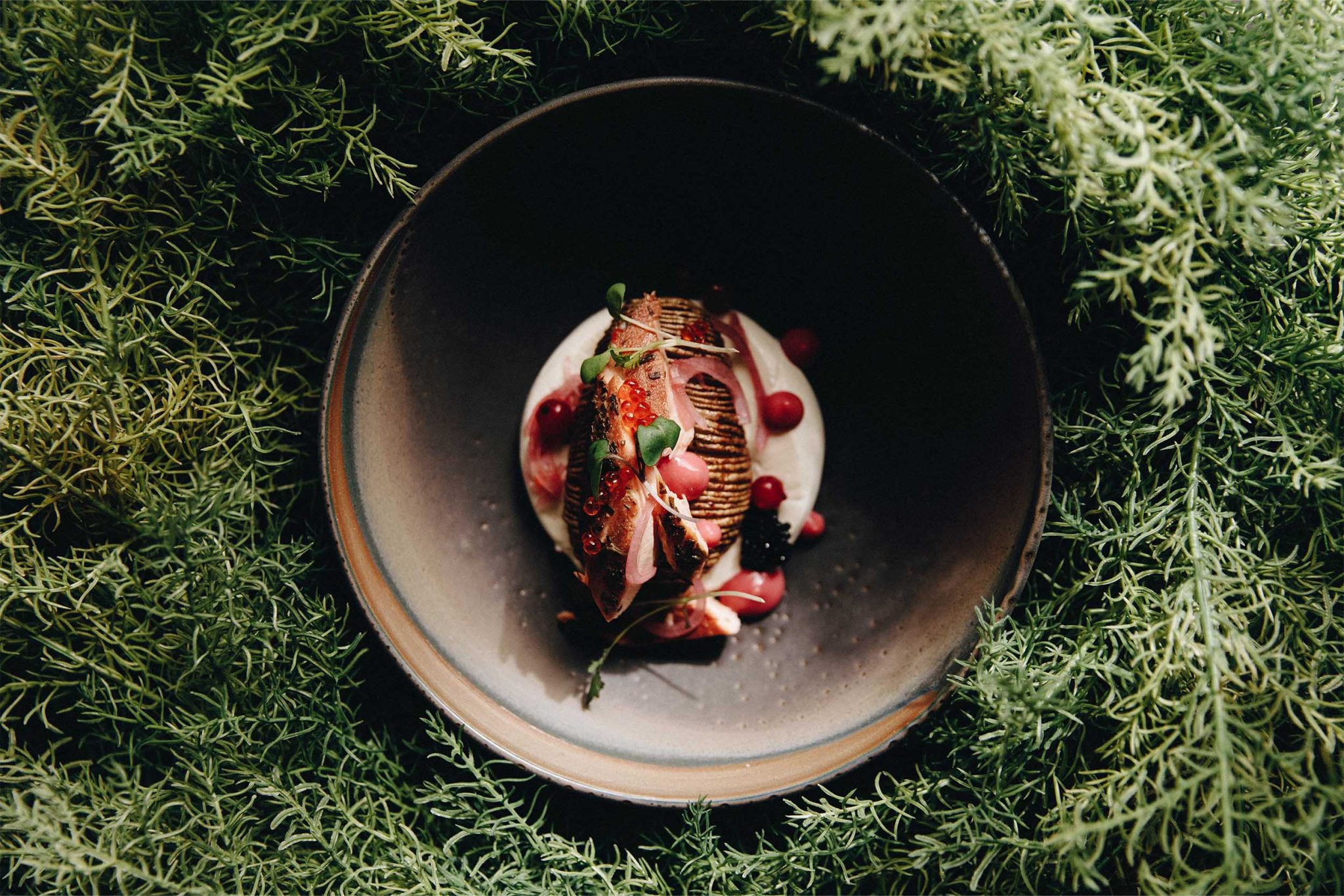 Nord restaurant takes part in Sherbrooke met la table - Strøm Nordic Spa