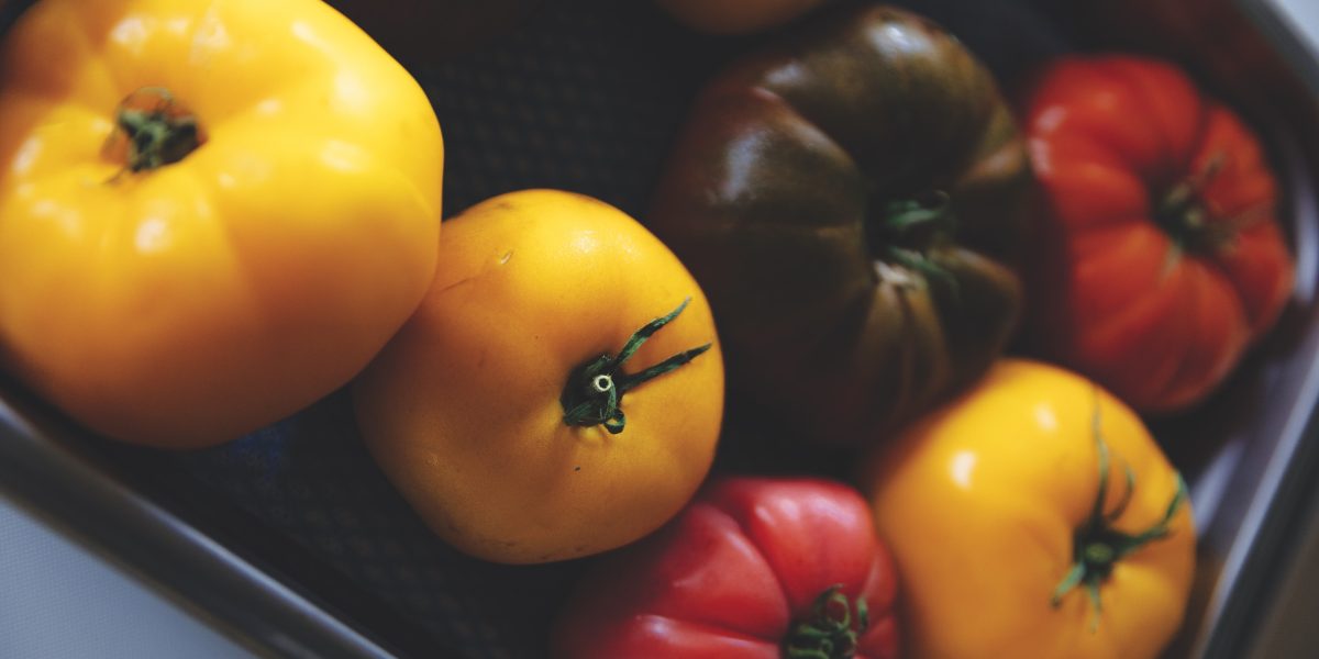 Intermittent Fasting, Longevity, and Wellness: Between Myths and ...