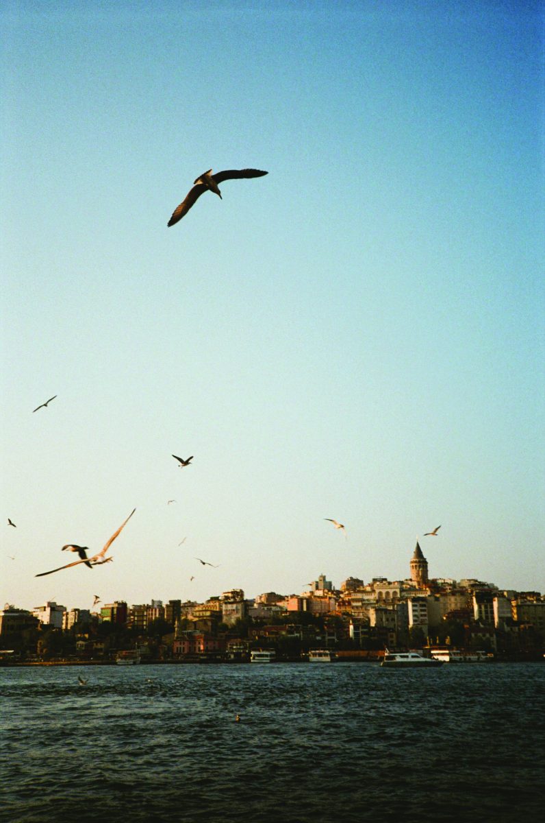 000007420026 Edit - Travelling at a Slow Pace