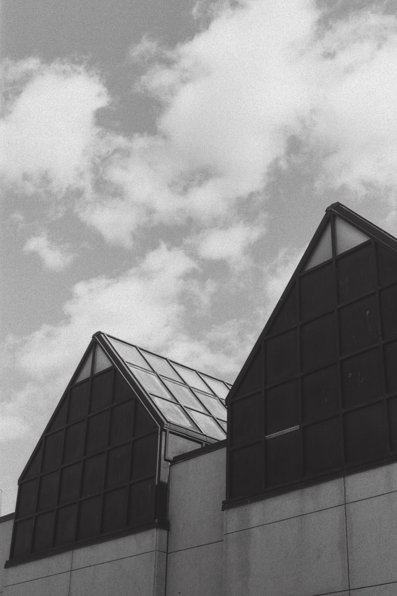 6592 001 Edit - Sleeping Beauty