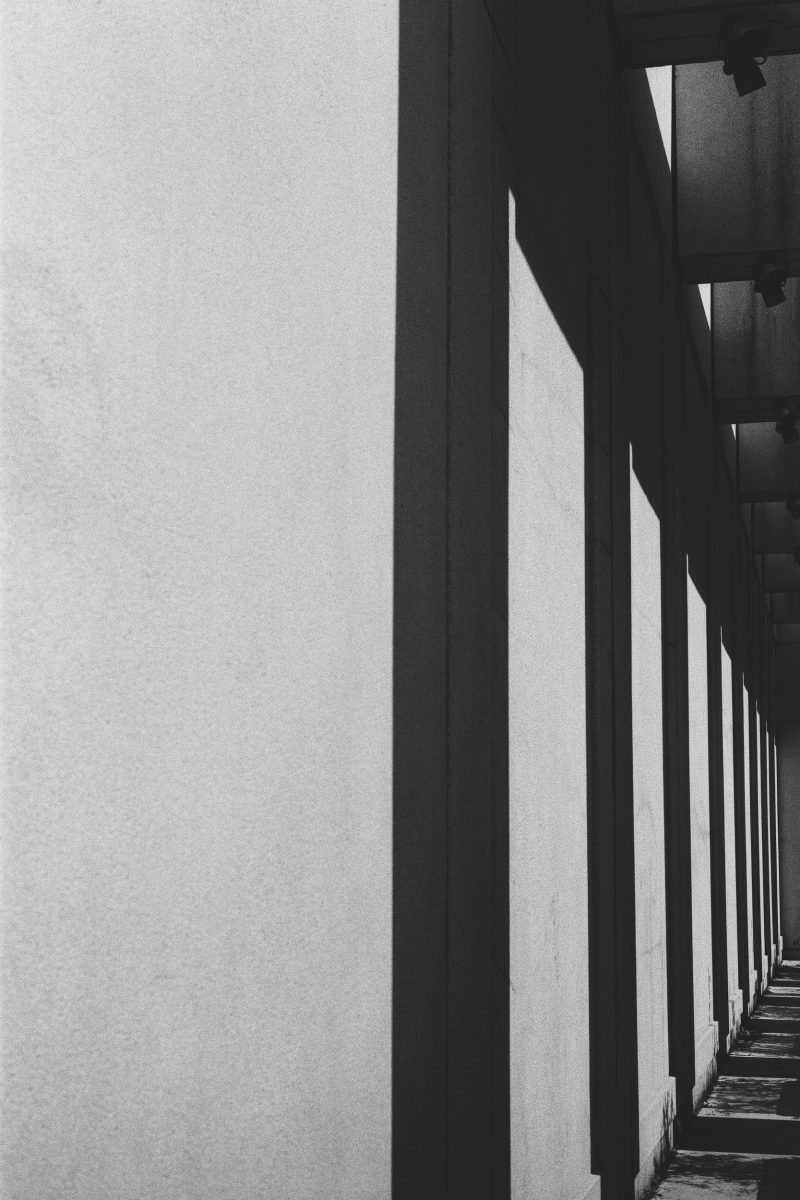 6592 003 Edit - Sleeping Beauty