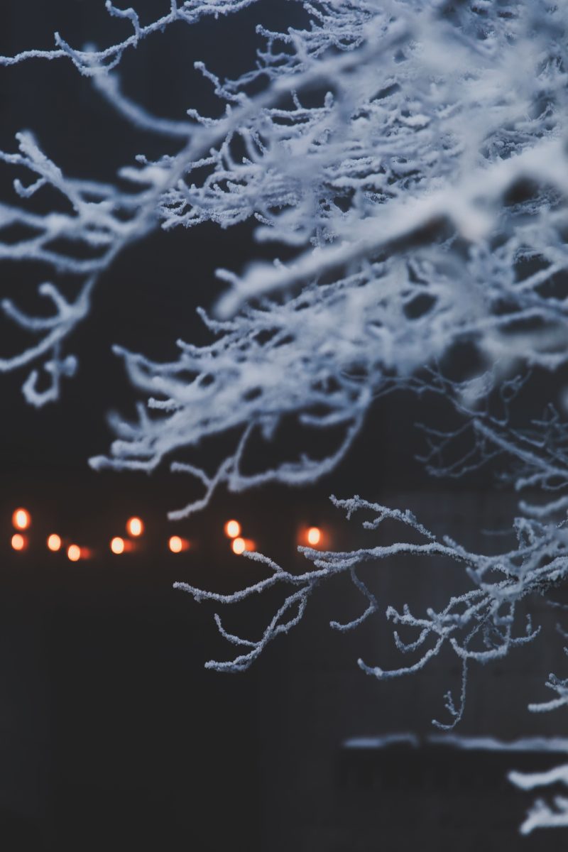 rDZEqMCA Edit - La résilience hivernale